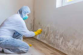 Best Biohazard Mold Removal  in New Roads, LA