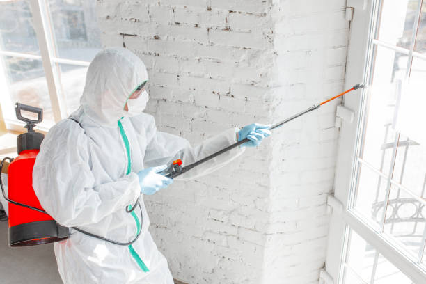 Best Attic Mold Removal  in New Roads, LA