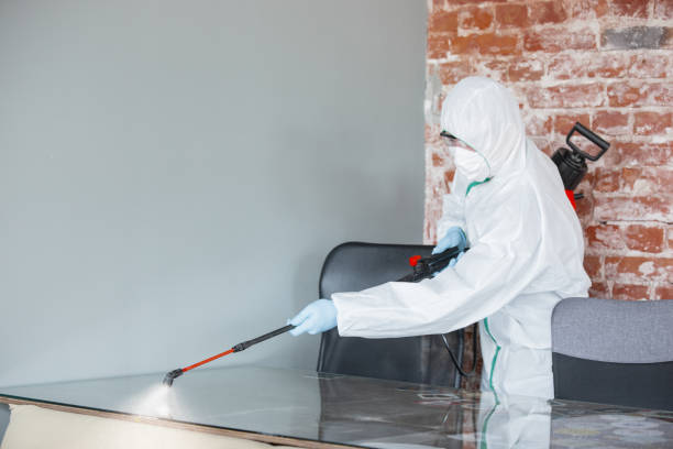 Best Asbestos and Lead Testing During Mold Inspection  in New Roads, LA