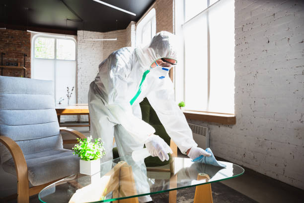 Why You Should Choose Our Mold Remediation Services in New Roads, LA