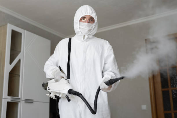 Best Mold Prevention Services  in New Roads, LA